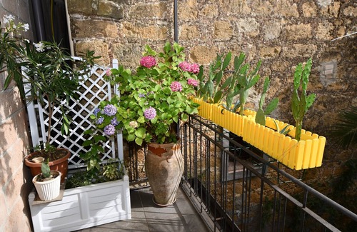 Piazza Armerina Apartment | The Garden of the Saracen House - Orange, with terrace