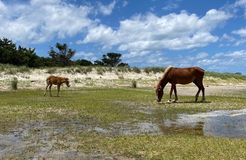 Morehead City House | The Gough Coast