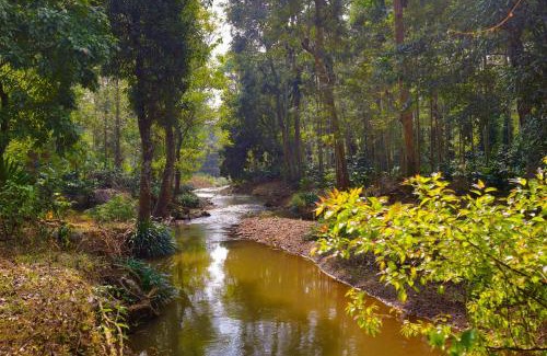 Chikkamagaluru Resort | The Grand Retreat - Chikmagalur
