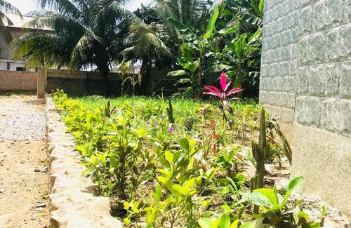 Elmina Cabin | The Green Condo