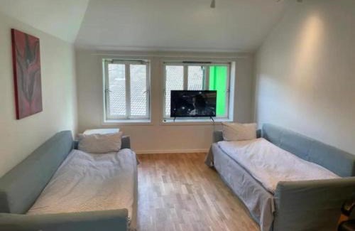 Sentrum Apartment | The Green House - Spacious Loft in center of Bergen