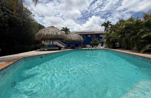 Jan Thiel Apartment | The Green Turtle Eco Lodge