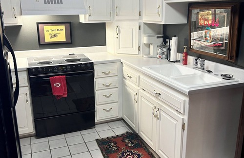 Springfield Apartment | "The Hangout" Private Basement Apartment in Quiet South Springfield Neighborhood