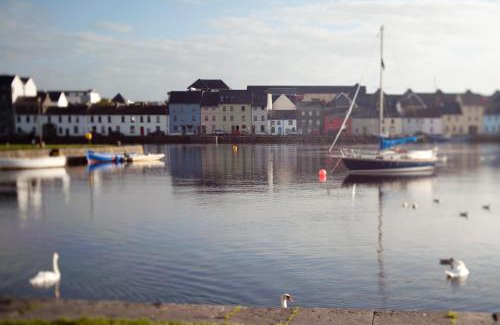 Galway City Centre House | The Herons Rest Townhouse B&B