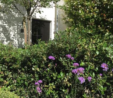 Historical Center Bruges Bed & Breakfast | The Herring's Residence - Stylish Private Cottage with Breakfast in Historic Center - Adults-Only