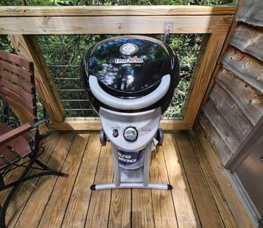 Elizabethton House | The Hidden Hemlock Tree House