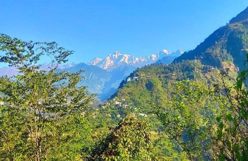 Dugalbitta Hotel | The Himalayan View Resort Chopta Valley Makkumath