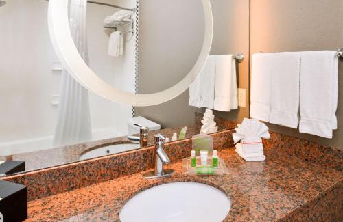 Soncy Hotel | The Holiday Inn Amarillo West Medical Center by IHG