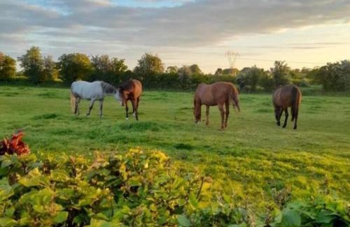 Knockaderry Cross Roads House | The Hollow