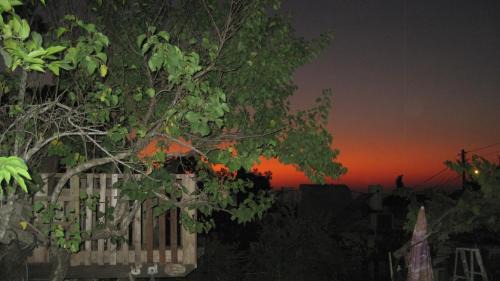Neve Ilan Apartment | The House By The Mulberry Tree