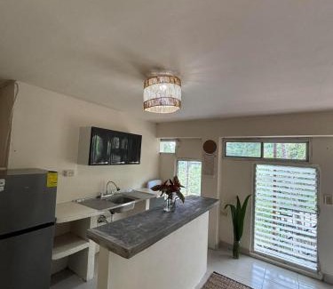 Las Cumbres Apartment | The House in the woods