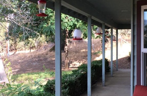 Badger House | The Hummingbird House