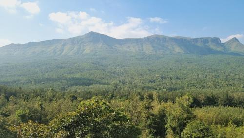 Chikkamagaluru House | The Inchara Hill View HomeStay