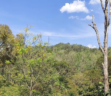 Yercaud Resort | The Ishank Resorts Yercaud Hills