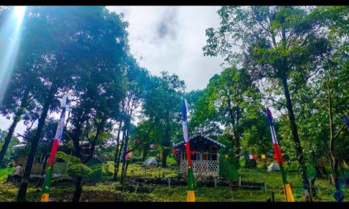 Kalimpong Other | The Jhandi Forest Camping & Huts