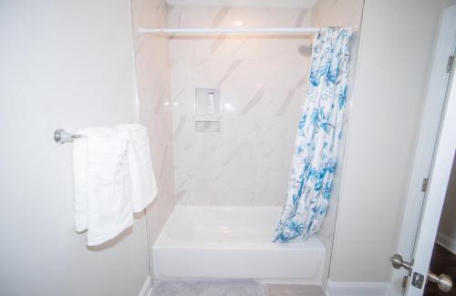 Brightwood Park Apartment | The Josi:Elegant space and view