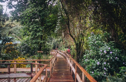 Good Living Camp House | The Jungle Cabana at Jaguar Creek