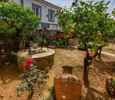Samos House | The Kalivi