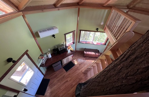 Cave Junction Cabin | The Kush Kabin! Deluxe treehouse on legal cannabis farm.