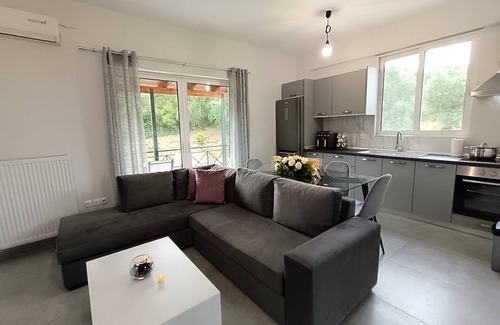 Vassilatika Apartment | The lake project