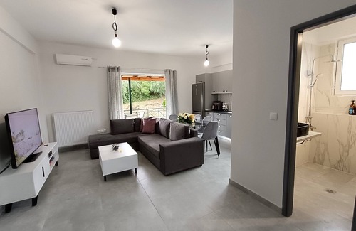 Vassilatika Apartment | The lake project