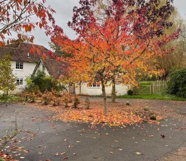 Royal Tunbridge Wells House | The Lavendrye