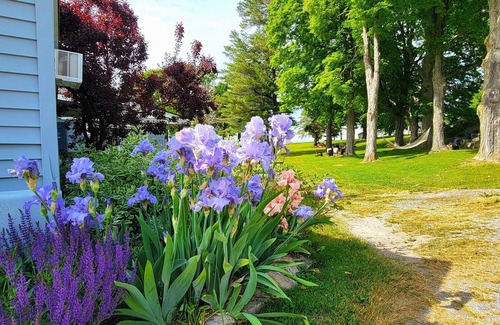 Alexandria Bay House | The Ledges Resort and Marina, Island Cottage