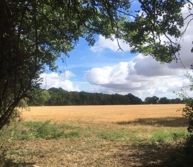 Eye House | The Lily Pad Suffolk