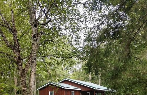 Lock Haven House | The little cabin that's big on great memories, near Pine Creek Valley's finest