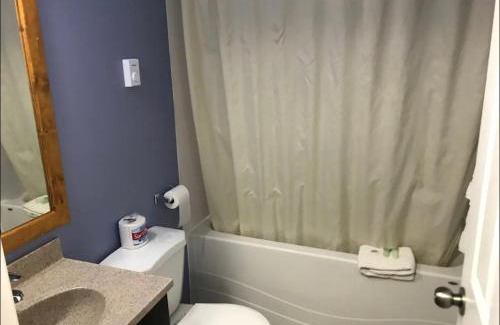Brandon Hotel | The little chalet motel