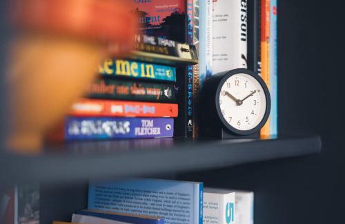 Shrewsbury Apartment | The Little Cygnet