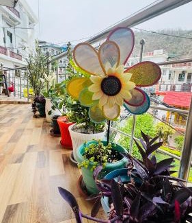 Tapovan House | The Little House