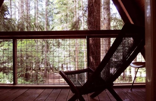 White Pass House | The Little Owl Cabin at Mt. Rainier