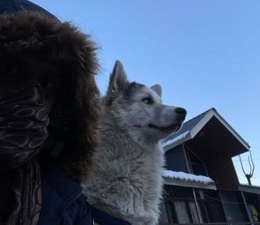 Bashisht House | The Locals Manali
