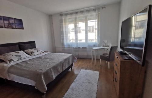 Kragujevac Apartment | The Location Central Town Apartament