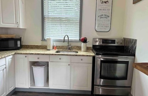 Roswell Apartment | "The Lodge" at Canton Street, Roswell, poolnn