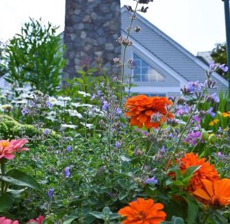 Jackson Hotel | The Lodge at Jackson Village