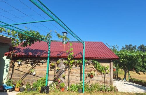 Kotor Municipality Apartment | The LODGE
