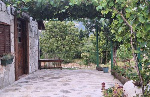 Kotor Municipality Apartment | The LODGE