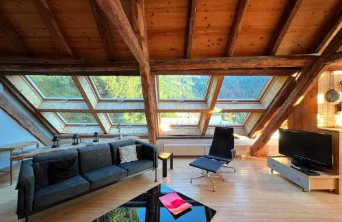 Oz-en-Oisans Apartment | The Loft 3 minutes from Alpe dHuez Grand Domaine via Oz en Oisans