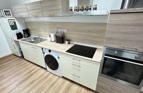 Speyer Apartment | The loft - 4 bedrooms - 2 WC - 2 showers - sauna - 2 underground parking spaces