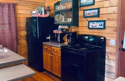 Eureka Springs Cabin | The Loft at Bear Mountain with Hottub