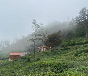 Kotagiri Bed & Breakfast | The Logs Resort