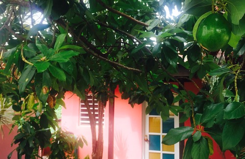 Puntas Cottage | 'The Love Shack' your hiding spot in Rincon