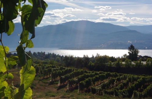 Okanagan-Similkameen House | The Loves' on Naramata Bench - Privacy, Lake Views, Wineries.