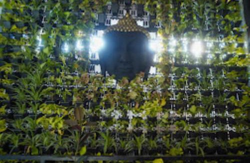 Bhopal Hotel | The Lunar Stays,Bhopal