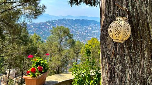Almora House | The Magnolia Lodge