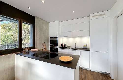 Sion Apartment | The Majestic-Exclusive view of Sion-Swiss Alps