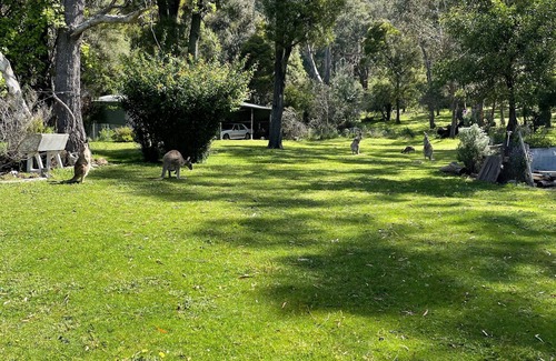 Halls Gap House | The Manna House - A spacious, historic retreat in the town of Halls Gap