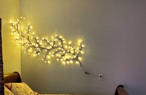Quitman Apartment | The Meadow Vista Apt B